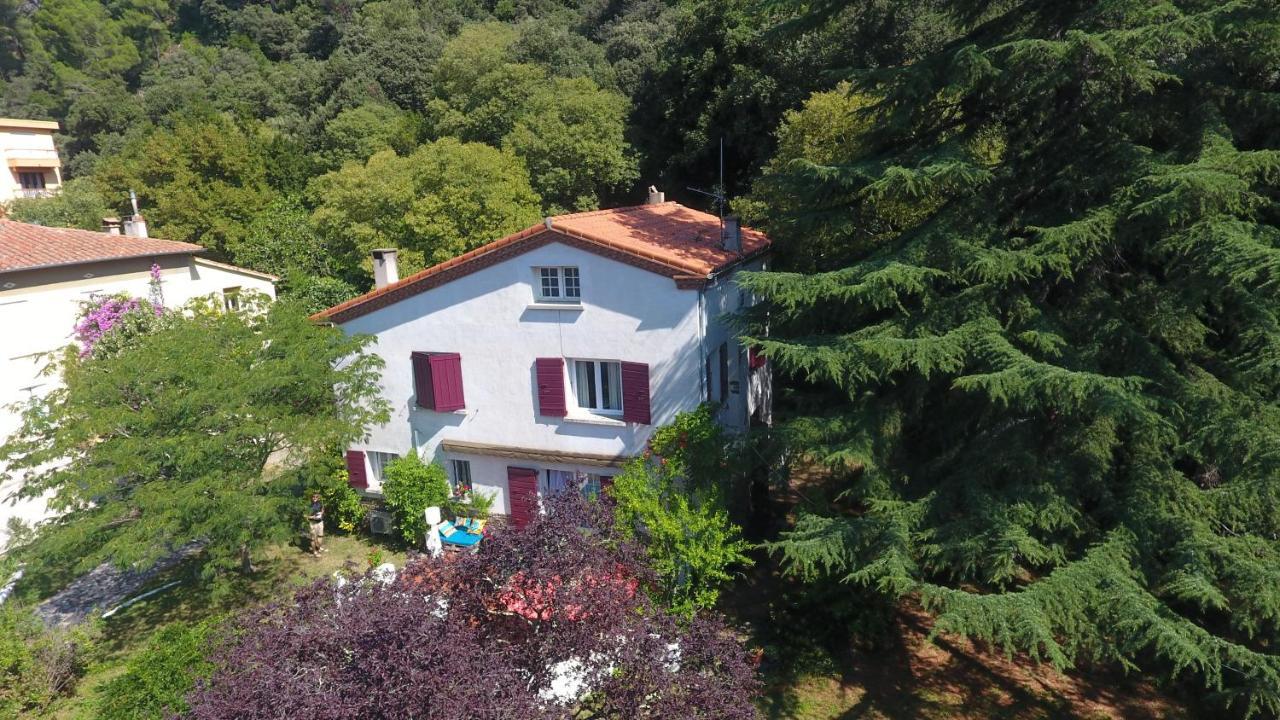 Villa Riviera Chambres dHôtes Amélie-les-Bains-Palalda Extérieur photo