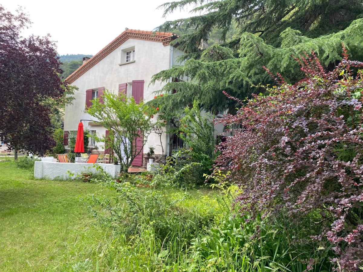 Villa Riviera Chambres dHôtes Amélie-les-Bains-Palalda Extérieur photo
