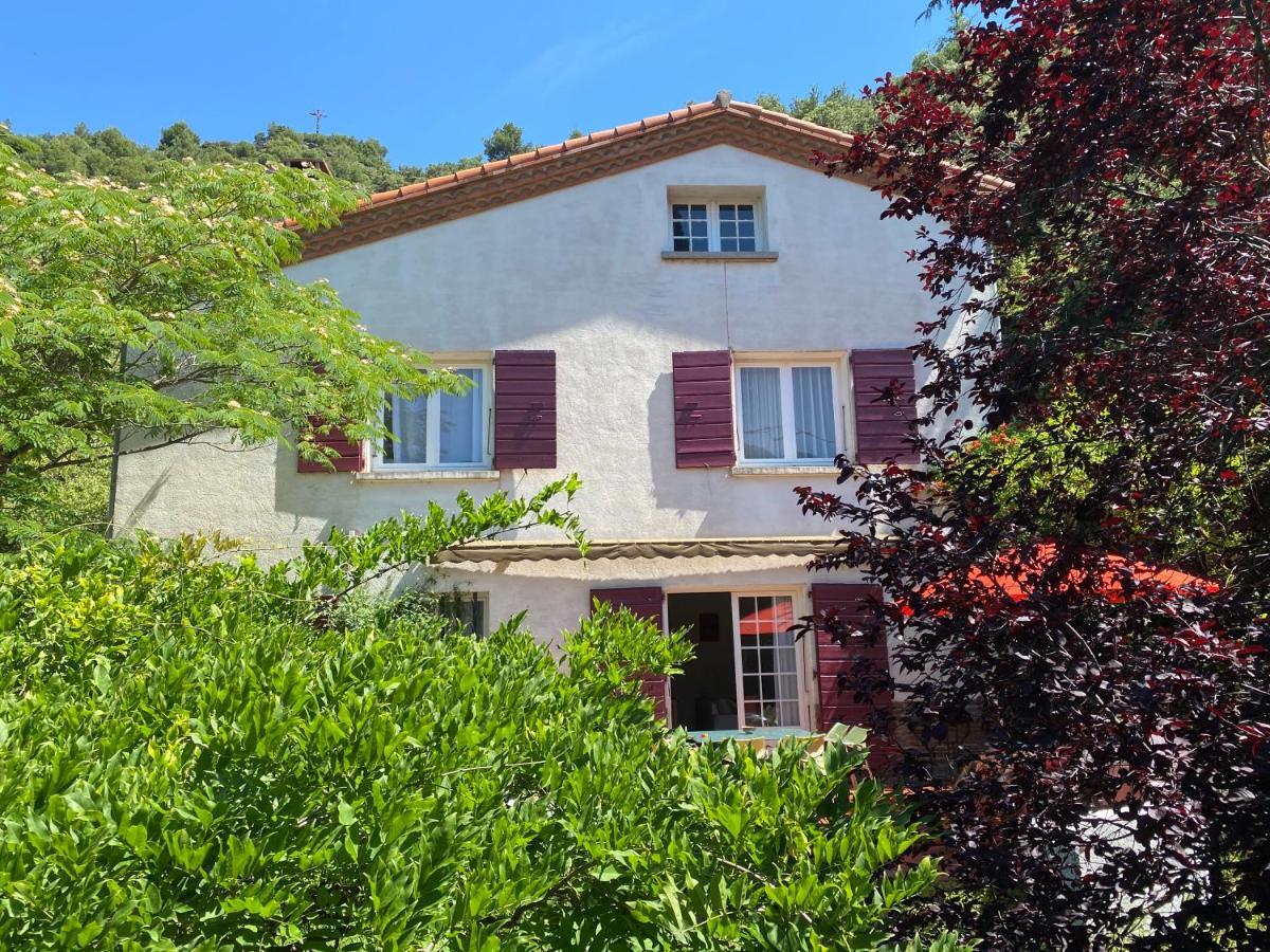 Villa Riviera Chambres dHôtes Amélie-les-Bains-Palalda Extérieur photo